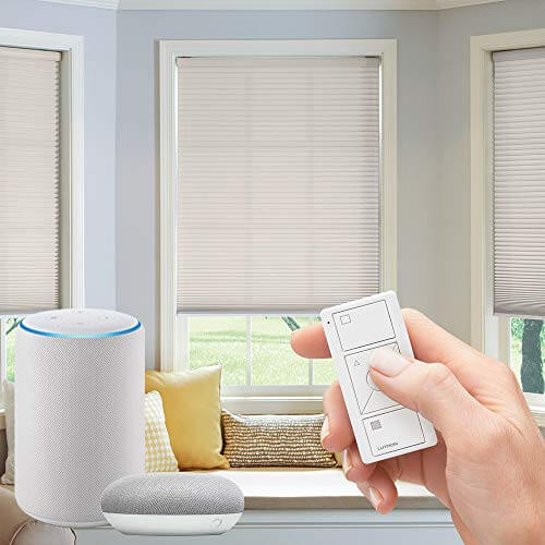 Smart Blinds